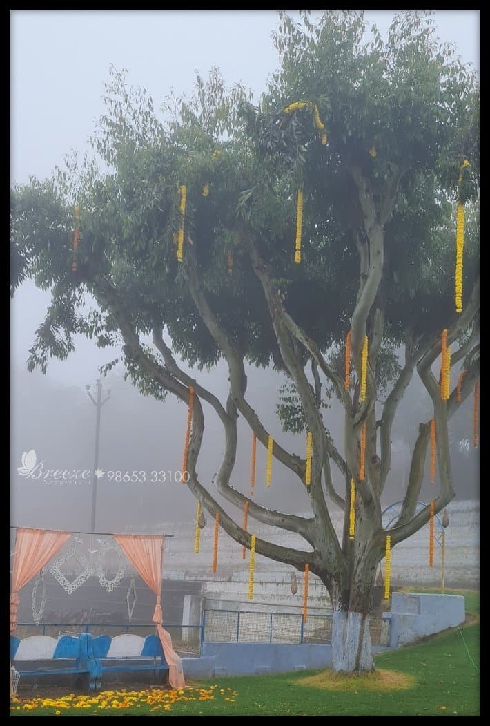 Arulmigu Sri Annamalaiar Temple Manjoor Ooty Wedding Decoration - Original Full Size Photo 7